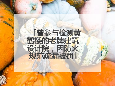 曾参与检测黄鹤楼的老牌建筑设计院，因防火规范疏漏被罚