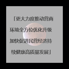更大力度推动营商环境全方位优化升级加快促进民营经济持续健康高质量发展
