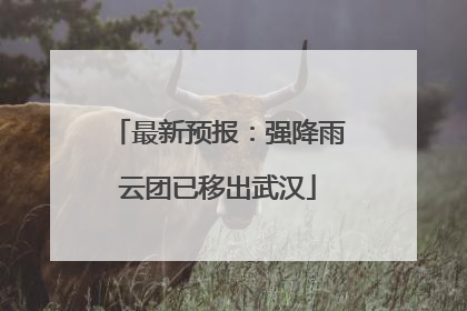 最新预报：强降雨云团已移出武汉