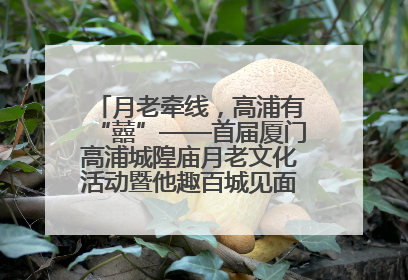 月老牵线，高浦有“囍”——首届厦门高浦城隍庙月老文化活动暨他趣百城见面会隆重举办