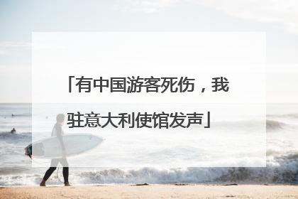 有中国游客死伤，我驻意大利使馆发声
