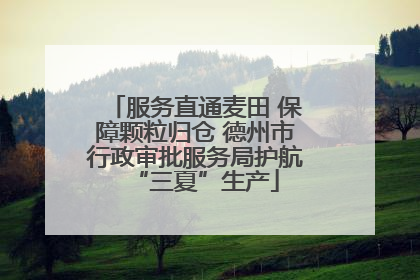 服务直通麦田 保障颗粒归仓 德州市行政审批服务局护航“三夏”生产