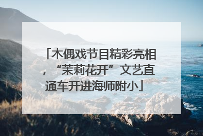 木偶戏节目精彩亮相，“茉莉花开”文艺直通车开进海师附小