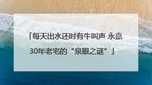 每天出水还时有牛叫声 永嘉30年老宅的“泉眼之谜”