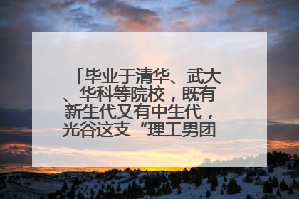 毕业于清华、武大、华科等院校，既有新生代又有中生代，光谷这支“理工男团”为何“出道”？
