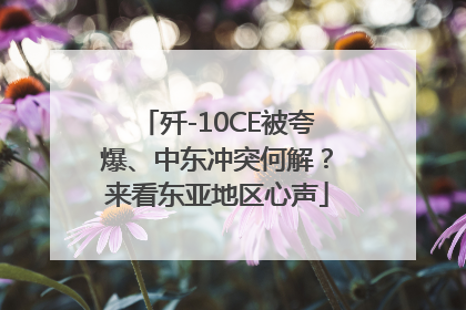 歼-10CE被夸爆、中东冲突何解？来看东亚地区心声