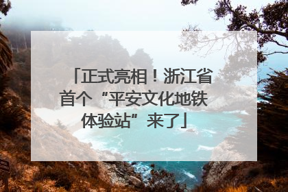 正式亮相！浙江省首个“平安文化地铁体验站”来了