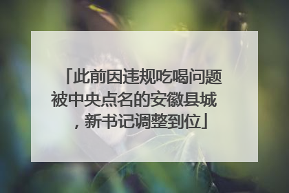 此前因违规吃喝问题被中央点名的安徽县城，新书记调整到位