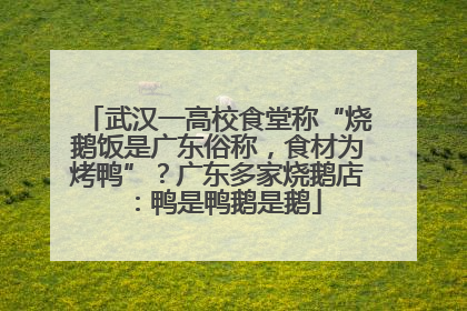 武汉一高校食堂称“烧鹅饭是广东俗称，食材为烤鸭”？广东多家烧鹅店：鸭是鸭鹅是鹅