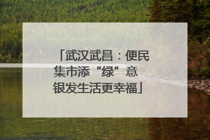 武汉武昌：便民集市添“绿”意 银发生活更幸福