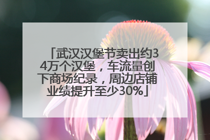 武汉汉堡节卖出约34万个汉堡，车流量创下商场纪录，周边店铺业绩提升至少30%