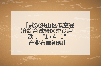武汉洪山区低空经济综合试验区建设启动，“1+4+1”产业布局初现