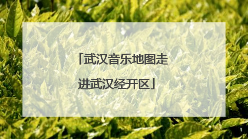 武汉音乐地图走进武汉经开区