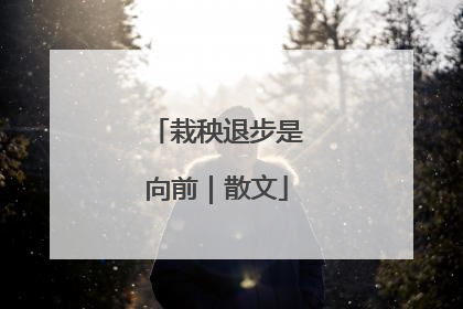 栽秧退步是向前｜散文