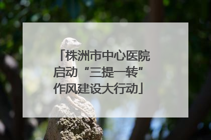 株洲市中心医院启动“三提一转”作风建设大行动