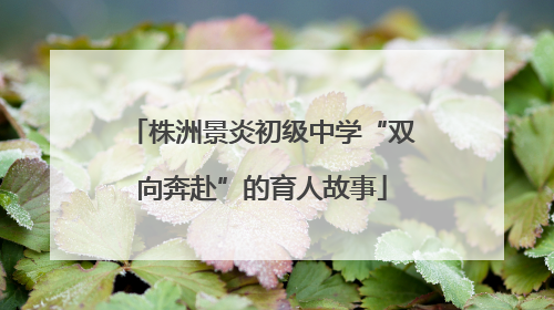 株洲景炎初级中学“双向奔赴”的育人故事