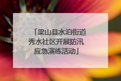 梁山县水泊街道秀水社区开展防汛应急演练活动