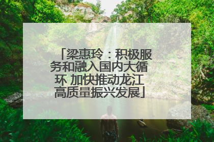 梁惠玲：积极服务和融入国内大循环 加快推动龙江高质量振兴发展