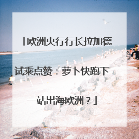 欧洲央行行长拉加德试乘点赞：萝卜快跑下一站出海欧洲？
