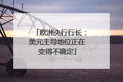 欧洲央行行长：美元主导地位正在变得不确定