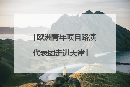欧洲青年项目路演代表团走进天津