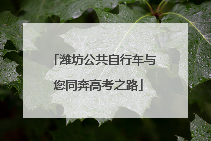 潍坊公共自行车与您同奔高考之路