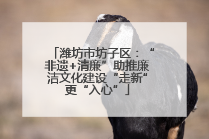 潍坊市坊子区：“非遗+清廉”助推廉洁文化建设“走新”更“入心”
