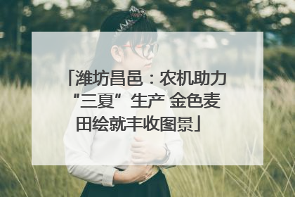 潍坊昌邑：农机助力“三夏”生产 金色麦田绘就丰收图景