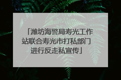 潍坊海警局寿光工作站联合寿光市打私部门进行反走私宣传