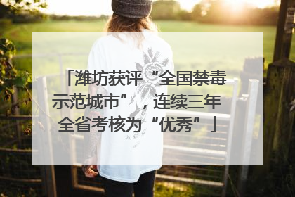 潍坊获评“全国禁毒示范城市”，连续三年全省考核为“优秀”