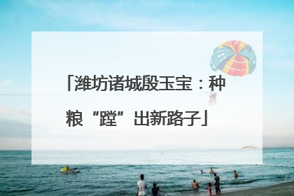 潍坊诸城殷玉宝：种粮“蹚”出新路子