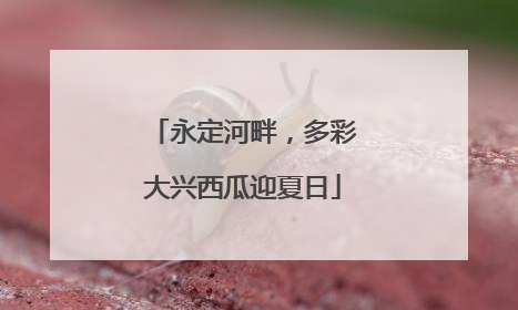 永定河畔，多彩大兴西瓜迎夏日