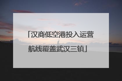 汉商低空港投入运营 航线覆盖武汉三镇