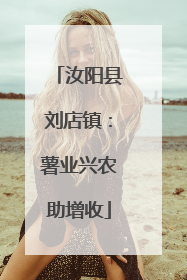 汝阳县刘店镇：薯业兴农助增收