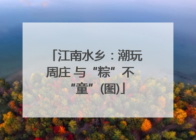 江南水乡：潮玩周庄 与“粽”不“童”(图)
