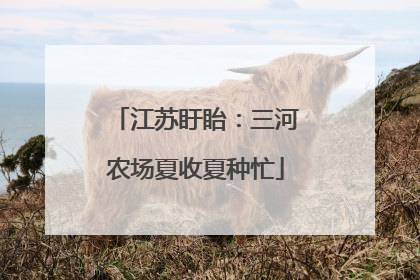江苏盱眙：三河农场夏收夏种忙