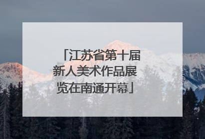 江苏省第十届新人美术作品展览在南通开幕