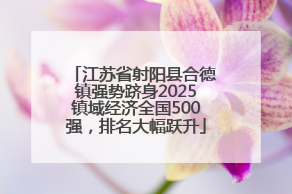 江苏省射阳县合德镇强势跻身2025镇域经济全国500强，排名大幅跃升
