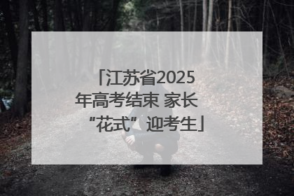 江苏省2025年高考结束 家长“花式”迎考生