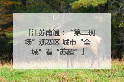 江苏南通：“第二现场”观赛区 城市“全域”看“苏超”