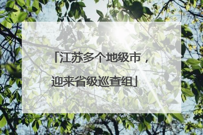 江苏多个地级市，迎来省级巡查组