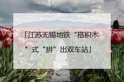 江苏无锡地铁“搭积木”式“拼”出双车站