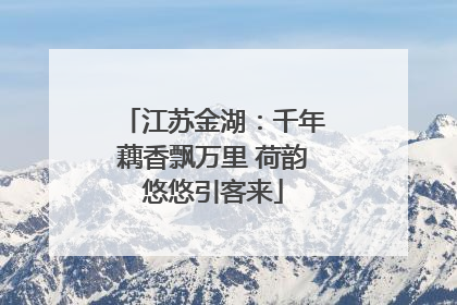江苏金湖：千年藕香飘万里 荷韵悠悠引客来
