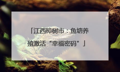 江西樟树市：鱼塘养殖激活“幸福密码”