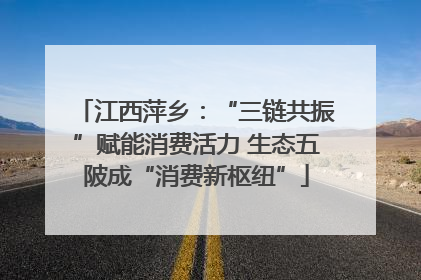 江西萍乡：“三链共振”赋能消费活力 生态五陂成“消费新枢纽”