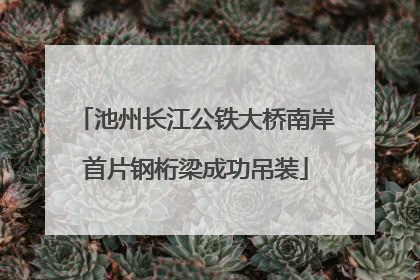 池州长江公铁大桥南岸首片钢桁梁成功吊装