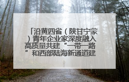 沿黄四省（陕甘宁蒙）青年企业家深度融入高质量共建“一带一路”和西部陆海新通道建设战略合作交流会在甘肃兰州召开