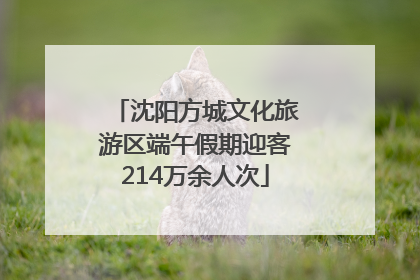 沈阳方城文化旅游区端午假期迎客214万余人次
