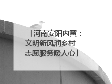 河南安阳内黄：文明新风润乡村 志愿服务暖人心
