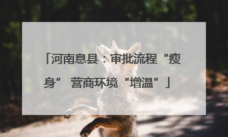 河南息县：审批流程“瘦身” 营商环境“增温”